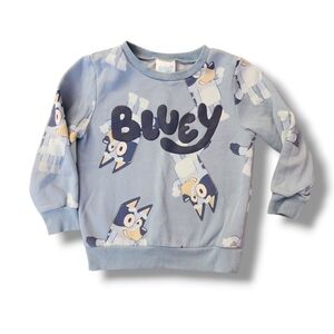 Bluey Pullover Crewneck Sweatshirt